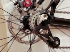 Pesta za kolesa: sorte, izbira in nega Katere vrste zadnjih pest za kolesa obstajajo?